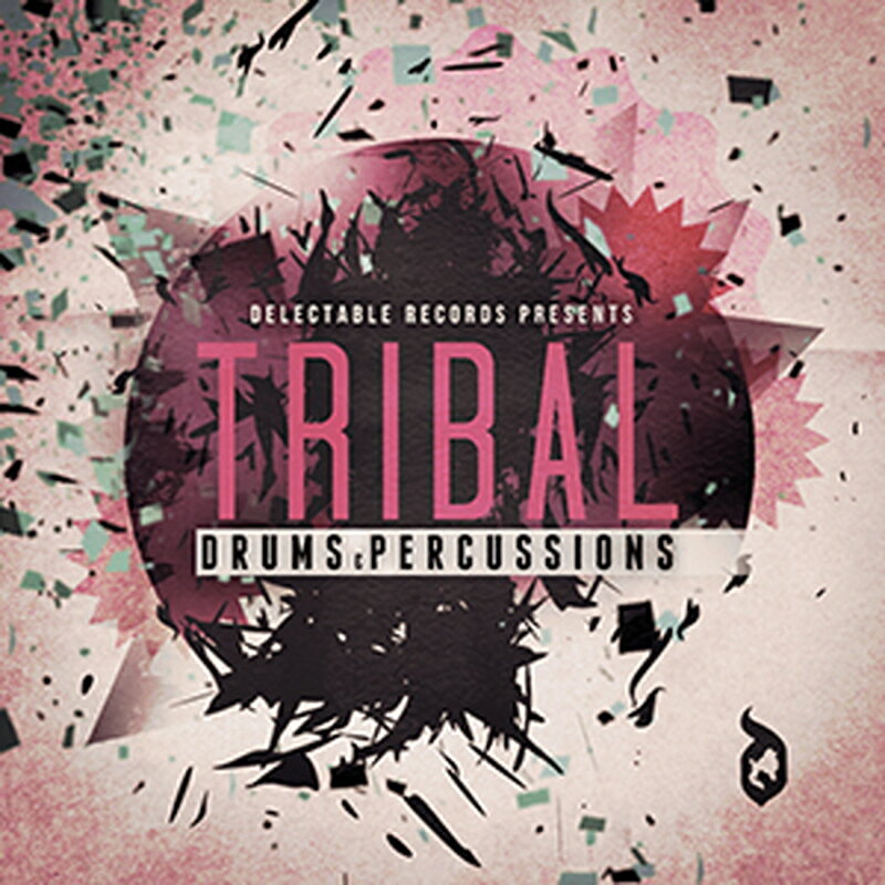 DELECTABLE RECORDS TRIBAL DRUMS & PERCUSSION(オンライン納品)(2時間以内に納品) プラグインソフト