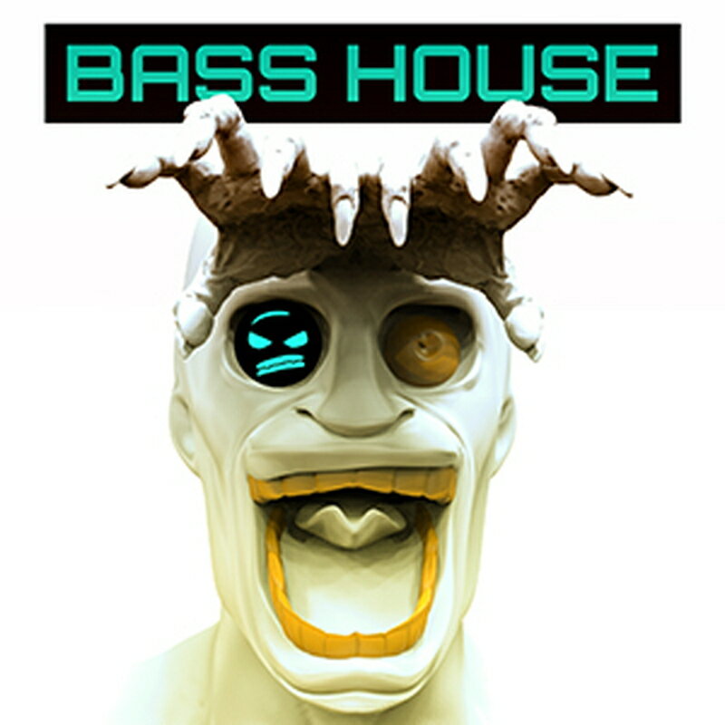 DABRO MUSIC - BASS HOUSE(オンライン納品)(2時間以内に納品) プラグインソフト