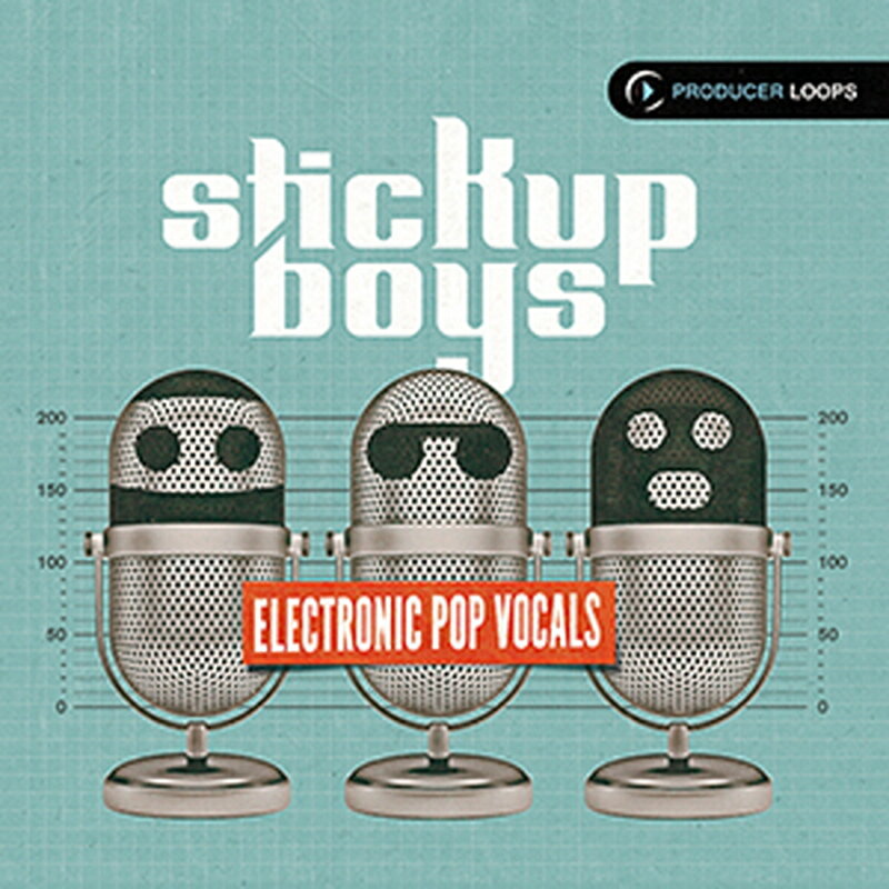PRODUCER LOOPS STICK UP BOYS ELECTRONIC POP VOCALS(オンライン納品)(2時間以内に納品) プラグインソフト