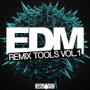 HY2ROGEN EDM REMIX TOOLS(オンライン納品)(2時間以内に納品) プラグインソフト