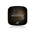 SYNCHRON-IZED WOODWINDS【簡易パッケージ販売】 VIENNA DTM ソフトウェア音源