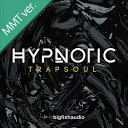 BIG FISH AUDIO 【ビッグフィッシュオーディオサンプルパックが25%OFF!】HYPNOTIC TRAPSOUL MMT(オンライン納品)(2時間以内に納品) プラグインソフト