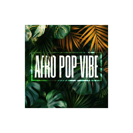 DIGINOIZ AFRO POP VIBE(オンライン納品)(2時間以内に納品) プラグインソフト DIGINOIZ AFRO POP VIBE(オンライン納品)(2時間以内に納品) プラグインソフト