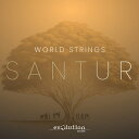 EVOLUTION SERIES WORLD STRINGS SANTUR(オンライン納品)(2時間以内に納品) ソフトウェア音源