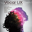 ZERO-G VOCAL LIX(オンライン納品)(2時間以内に納品) プラグインソフト