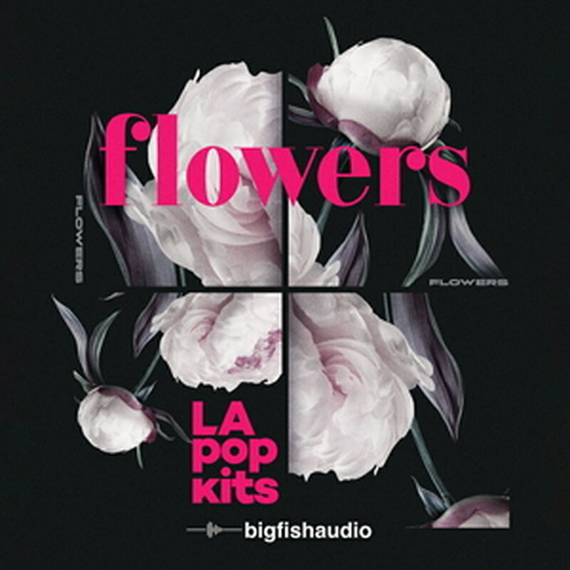 樂天商城 - BIG FISH AUDIO FLOWERS - LA POP KITS(オンライン納品)(2時間以内に納品) プラグインソフト