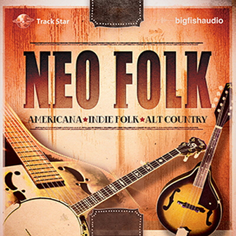 BIG FISH AUDIO NEO FOLK(オンライン納品)(2時間以内に納品) プラグインソフト