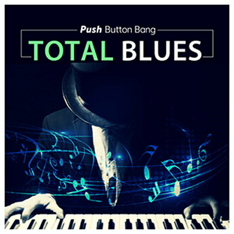 PUSH BUTTON BANG TOTAL BLUES(オンライン納品)(2時間以内に納品) プラグインソフト