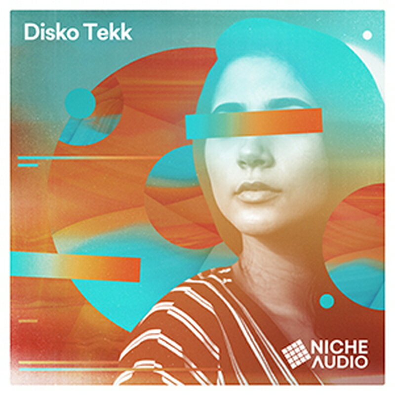 NICHE AUDIO DISKO TEKK(オンライン納品)(2時間以内に納品) プラグインソフト