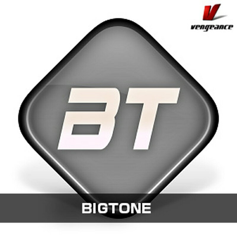 Vengeance Sound BIGTONE(オンライン納品)(2時間以内に納品) ソフトウェア音源