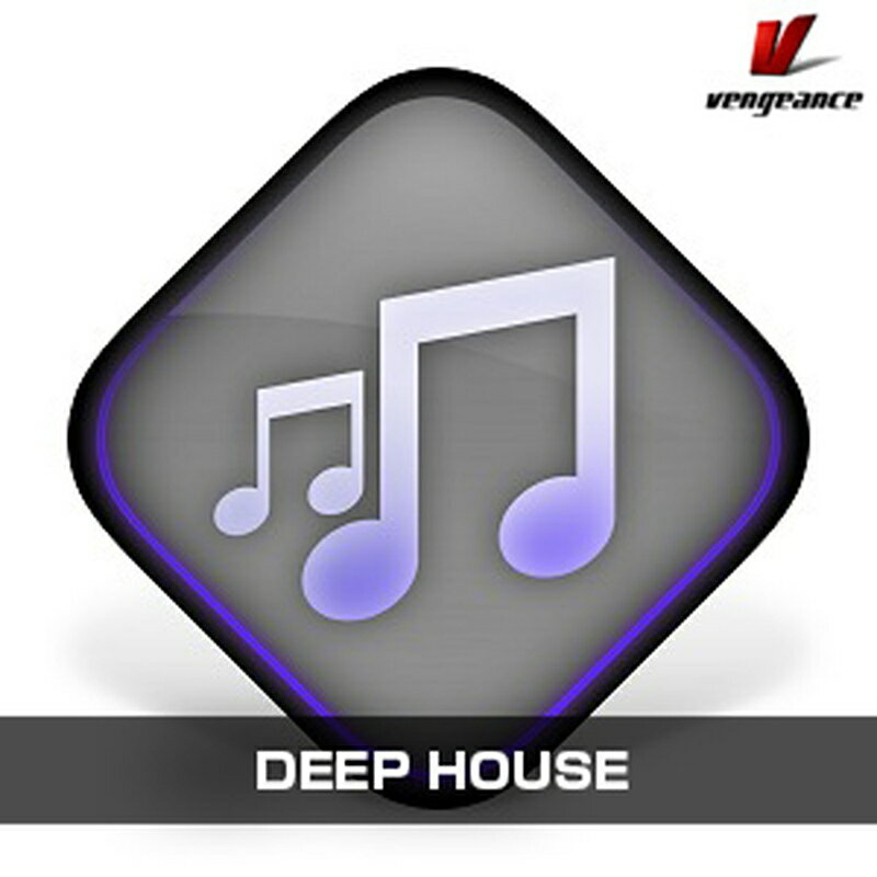 Vengeance Sound DEEP HOUSE(オンライン納品)(2時間以内に納品) ソフトウェア音源