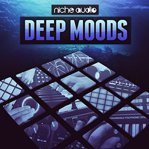NICHE AUDIO DEEP MOODS - ABLETON(オンライン納品)(2時間以内に納品) プラグインソフト NICHE AUDIO DEEP MOODS - ABLETON(オンライン納品)(2時間以内に納品) プラグインソフト
