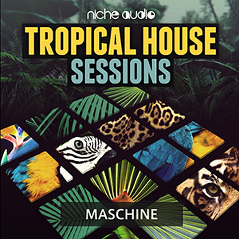NICHE AUDIO TROPICAL HOUSE SESSIONS - MASCHINE 2(オンライン納品)(2時間以内に納品) プラグインソフト