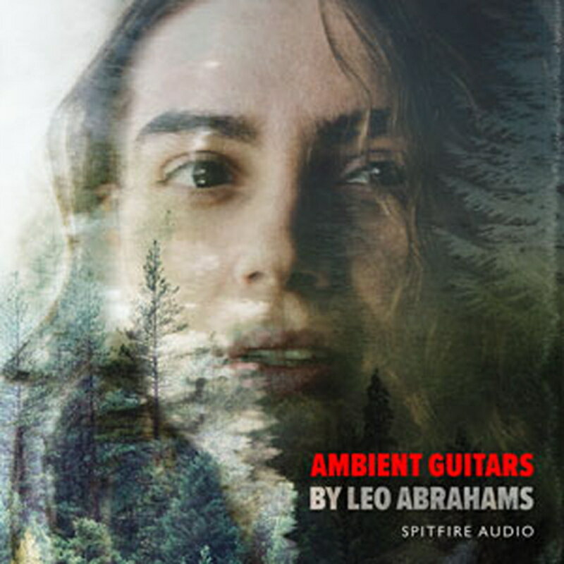 Rakuten - SPITFIRE AUDIO 【スピットファイアオーディオ期間限定セール！】AMBIENT GUITARS(オンライン納品)(2時間以内に納品) ソフトウェア音源