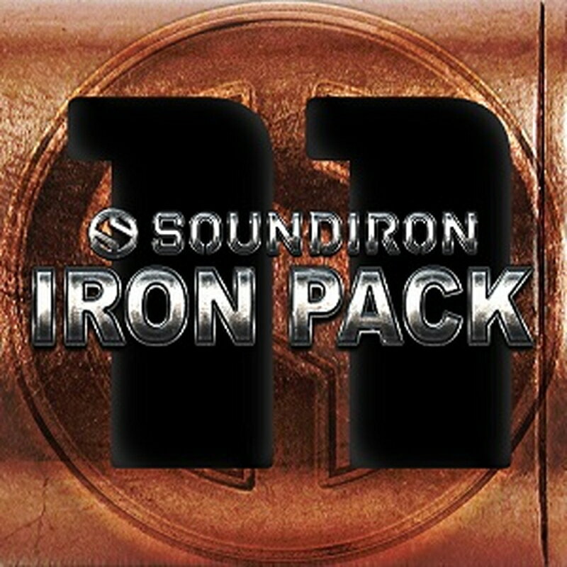SOUNDIRON 【サウンドアイアンブラックフライデーセール!】IRON PACK 11 - IRISH PENNY WHISTLE(オンライン納品)(2時間...