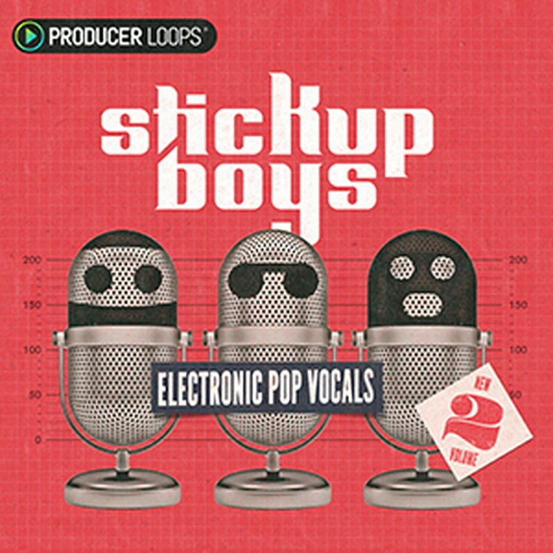 PRODUCER LOOPS 【プロデューサーループスブラックフライデーセール！】STICK UP BOYS ELECTRONIC POP VOCALS VOL 2(オンライン納品)(2時間以内に納品) プラグインソフト(2)