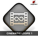 Vengeance Sound CINEMATIC LOOPS 1(オンライン納品)(2時間以内に納品) ソフトウェア音源