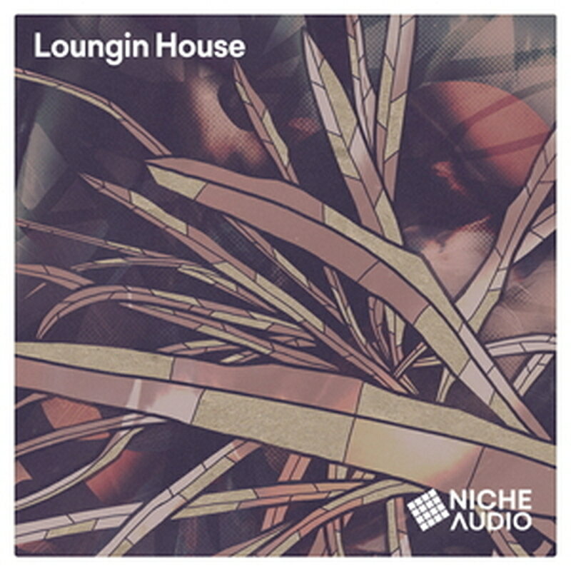 NICHE AUDIO LOUNGIN HOUSE(オンライン納品)(2時間以内に納品) プラグインソフト