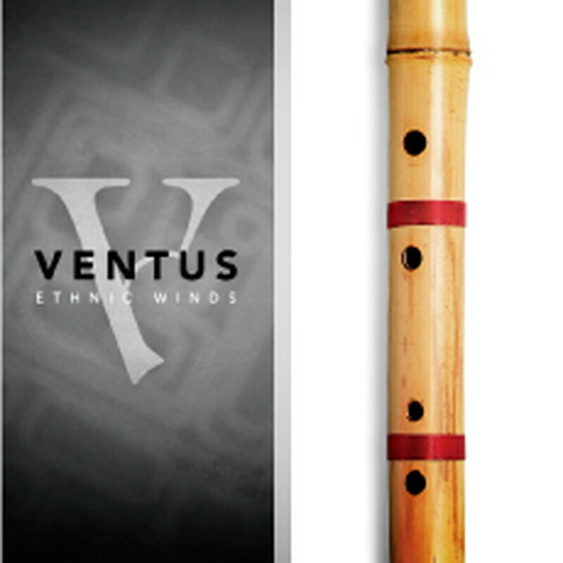 IMPACT SOUNDWORKS VENTUS ETHNIC WINDS - BANSURI(オンライン納品)(2時間以内に納品) プラグインソフト
