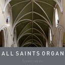 SONICCOUTURE ALL SAINTS ORGAN(オンライン納品)(2時間以内に納品) ソフトウェア音源