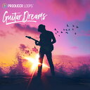 PRODUCER LOOPS GUITAR DREAMS(オンライン納品)(2時間以内に納品) プラグインソフト