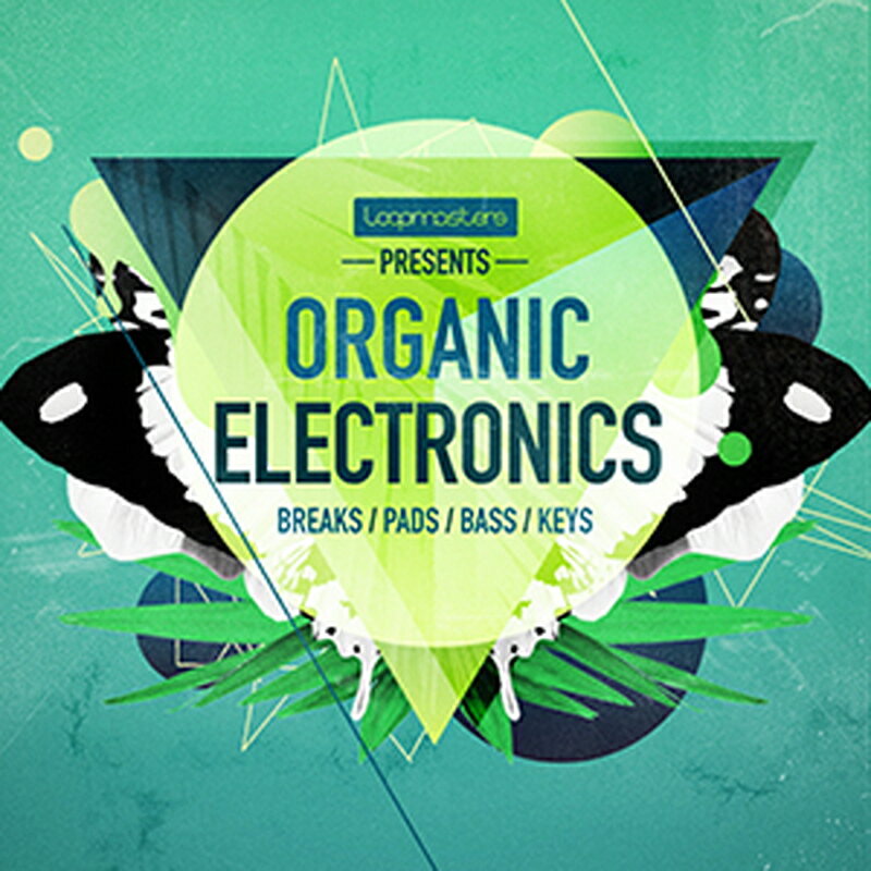 LOOPMASTERS ORGANIC ELECTRONICS(オンライン納品)(2時間以内に納品) プラグインソフト