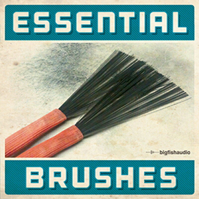 BIG FISH AUDIO ESSENTIAL BRUSHES(オンライン納品)(2時間以内に納品) プラグインソフト