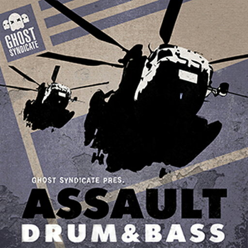 GHOST SYNDICATE ASSAULT DNB(オンライン納品)(2時間以内に納品) プラグインソフト GHOST SYNDICATE ASSAULT DNB(オンライン納品)(2時間以内に納品) プラグインソフト