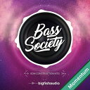BIG FISH AUDIO BASS SOCIETY(オンライン納品)(2時間以内に納品) プラグインソフト