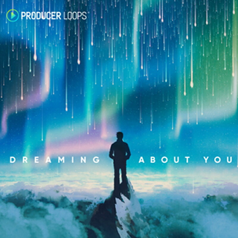 Rakuten - PRODUCER LOOPS DREAMING ABOUT YOU(オンライン納品)(2時間以内に納品) プラグインソフト
