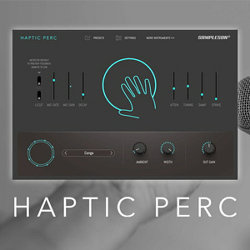 SAMPLESON HAPTIC PERC(オンライン納品)(2時間以内に納品) ソフトウェア音源