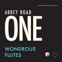 SPITFIRE AUDIO ABBEY ROAD ONE: WONDROUS FLUTES(オンライン納品)(2時間以内に納品) ソフトウェア音源