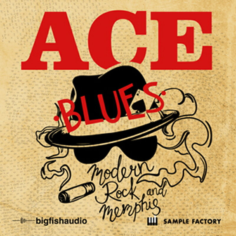BIG FISH AUDIO MODERN ROCK AND MEMPHIS BLUES(オンライン納品)(2時間以内に納品) プラグインソフト