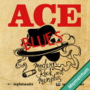 BIG FISH AUDIO MODERN ROCK AND MEMPHIS BLUES(オンライン納品)(2時間以内に納品) プラグインソフト