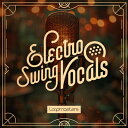 LOOPMASTERS ELECTRO SWING VOCALS(オンライン納品)(2時間以内に納品) プラグインソフト