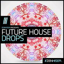 ZENHISER FUTURE HOUSE DROPS(オンライン納品)(2時間以内に納品) プラグインソフト