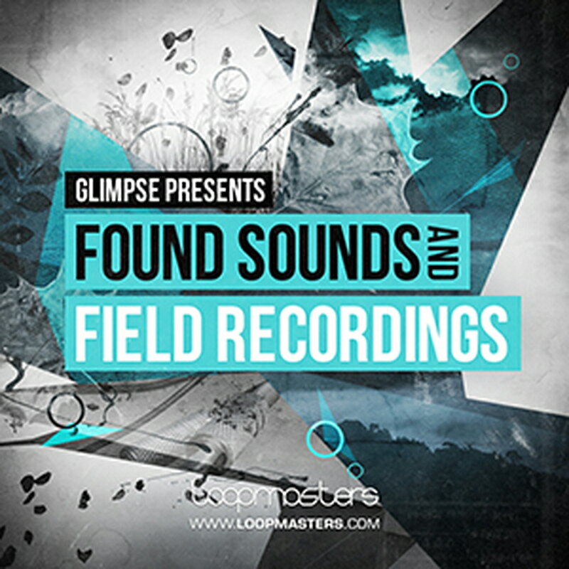 LOOPMASTERS GLIMPSE - FOUND SOUNDS AND FIELD RECORDINGS(オンライン納品)(2時間以内に納品) プラグインソフト