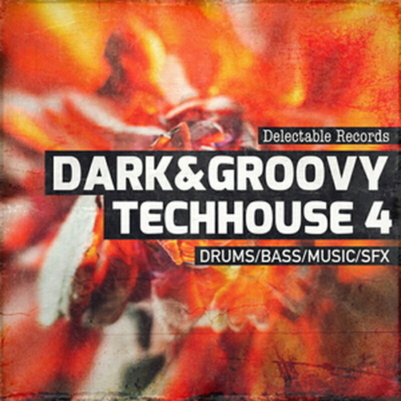 DELECTABLE RECORDS DARK AND GROOVY TECHHOUSE 04(オンライン納品)(2時間以内に納品) プラグインソフト