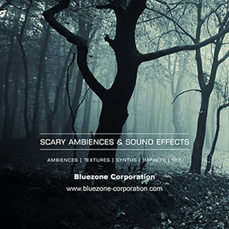 BLUEZONE SCARY AMBIENCES AND SOUND EFFECTS(オンライン納品)(2時間以内に納品) プラグインソフト