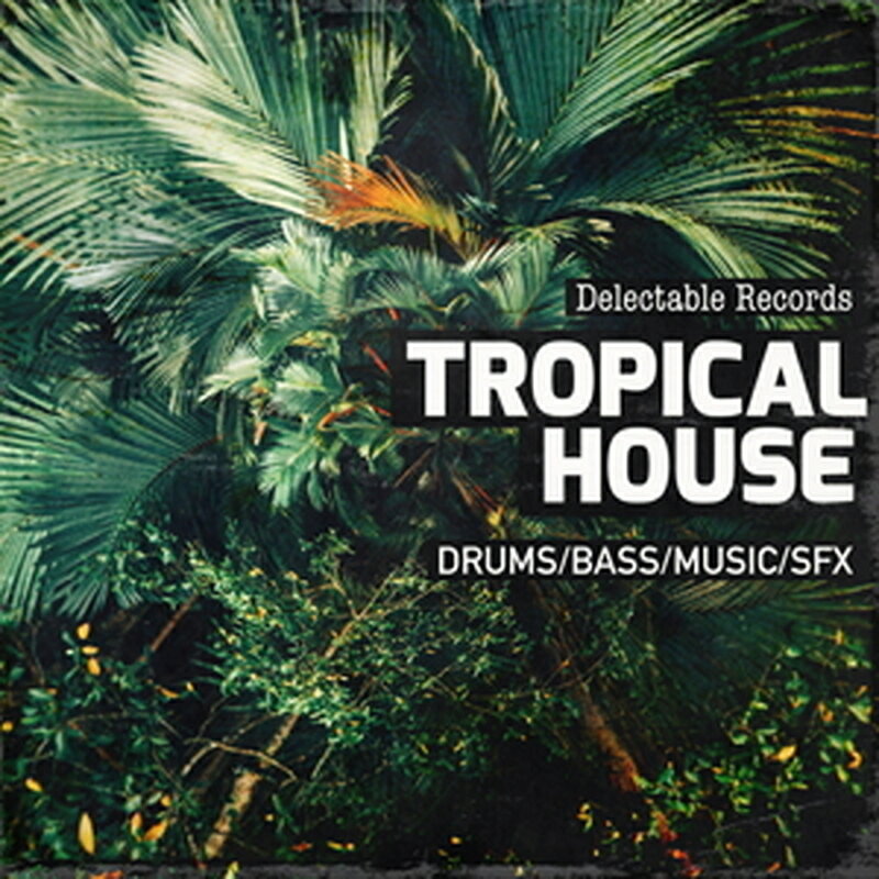 DELECTABLE RECORDS PRESENT - TROPICAL HOUSE 01(����饤��Ǽ��)(2���ְ����Ǽ��) �ץ饰���󥽥ե�