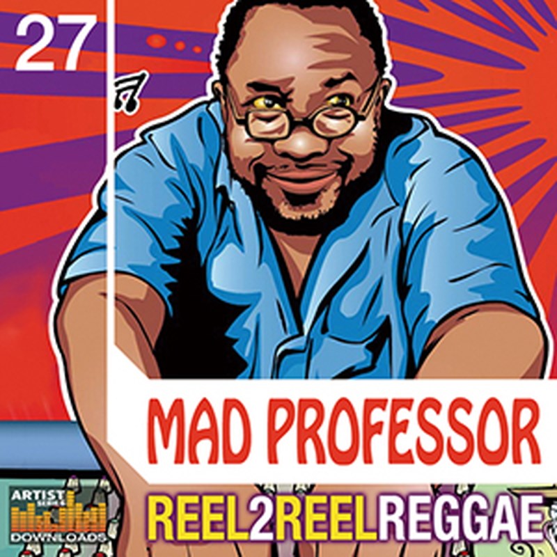 LOOPMASTERS MAD PROFESSOR / REEL 2 REEL REGGAE(オンライン納品)(2時間以内に納品) プラグインソフト