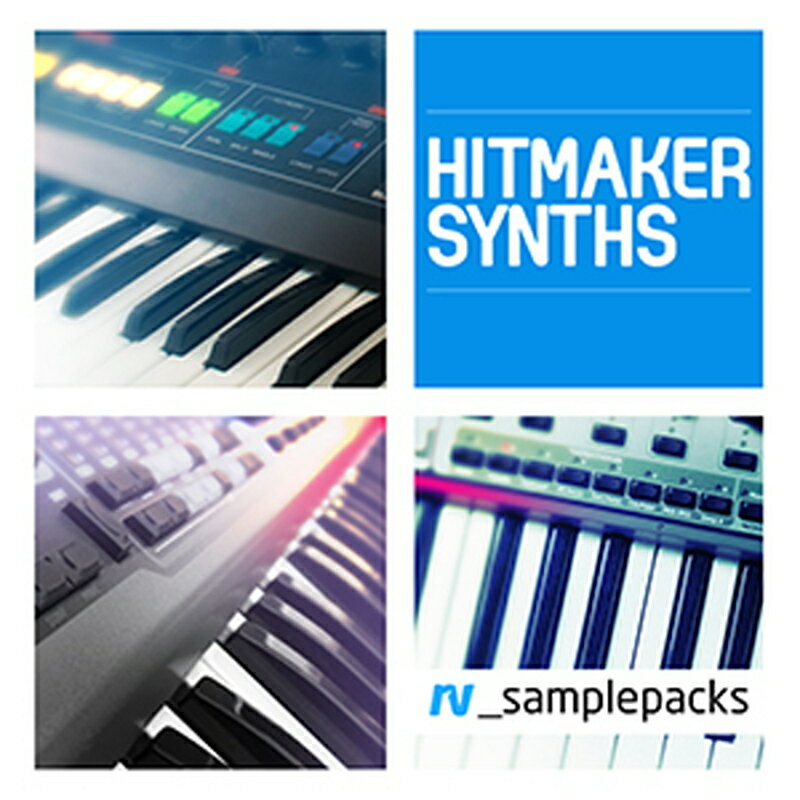 RV_samplepacks HIT MAKER SYNTHS(オンライン納品)(2時間以内に納品) プラグインソフト