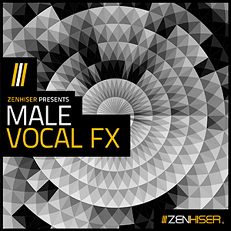 ZENHISER MALE VOCAL FX(オンライン納品)(2時間以内に納品) プラグインソフト