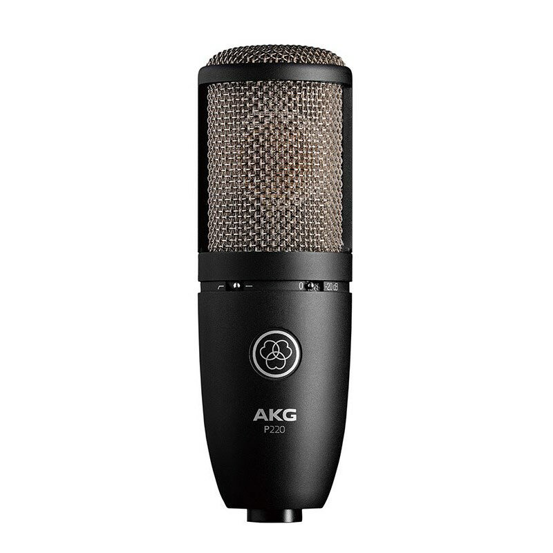 P220 【国内正規品2ヶ年保証】 AKG レコーディング マイク