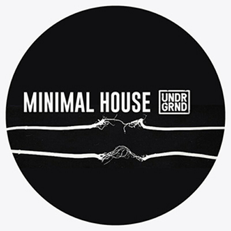 UNDRGRND MINIMAL HOUSE(オンライン納品)(2時間以内に納品) プラグインソフト