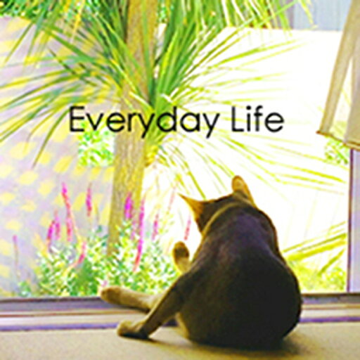 AQUASUITE MUSIC 【サマーセール!対象製品が約30%OFF!】EVERYDAY LIFE(オンライン納品)(2時間以内に納品) プラグインソフト AQUASUITE MUSIC 【サマーセール!対象製品が約30%OFF!】EVERYDAY LIFE(オンライン納品)(2時間以内に納品) プラグインソフト