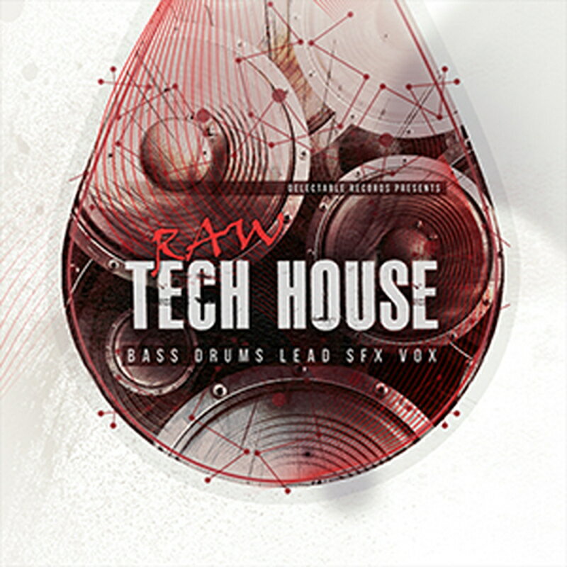 Rakuten - DELECTABLE RECORDS RAW TECH HOUSE(オンライン納品)(2時間以内に納品) プラグインソフト