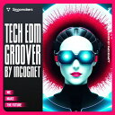 SINGOMAKERS TECH EDM GROOVER BY INCOGNET(オンライン納品)(2時間以内に納品) プラグインソフト