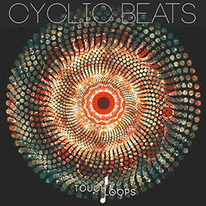 TOUCH LOOPS CYCLIC BEATS(オンライン納品)(2時間以内に納品) プラグインソフト