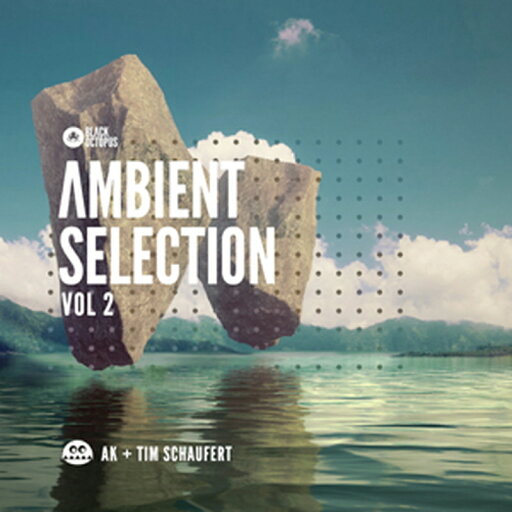 BLACK OCTOPUS AMBIENT SELECTIONS VOL 2 BY AK & TIM SCHAUFERT(オンライン納品)(2時間以内に納品) プラグインソフト BLACK OCTOPUS AMBIENT SELECTIONS VOL 2 BY AK & TIM SCHAUFERT(オンライン納品)(2時間以内に納品) プラグインソフト